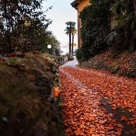 Allgayer - Ancient Dependance Appartement *