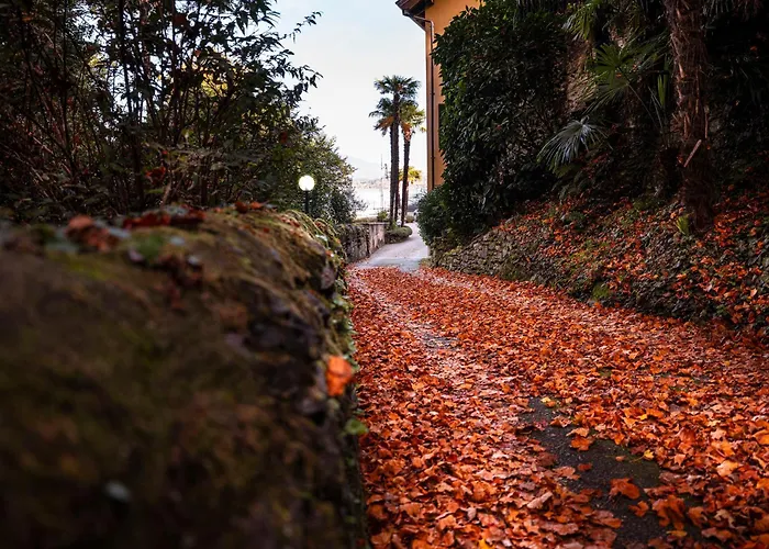 Allgayer - Ancient Dependance Apartament *